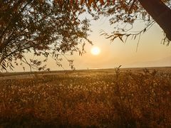 -野鸭湖国家湿地公园