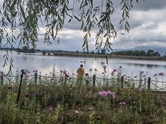 -野鸭湖国家湿地公园