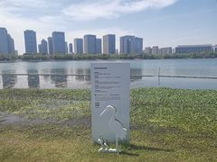 -尚贤河湿地