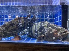 -徐记海鲜(大明宫|北二环店)