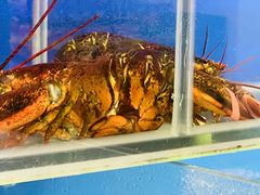 -北京华联生活超市(庄河世纪海云天店)