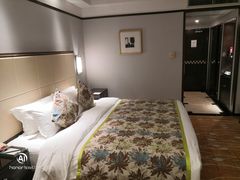 -武汉江城明珠豪生大酒店
