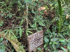 -普洱太阳河森林公园