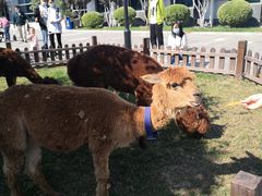 -东方时尚驾校摩托车考试场