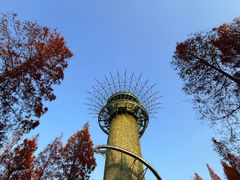 -黄海国家森林公园