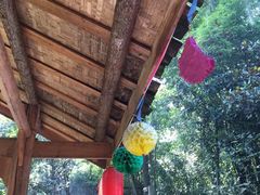 -寻龙山风景旅游区