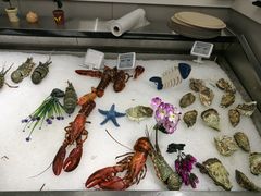 -盒马鲜生(大成店)