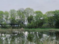 -西湖风景区-江洋畈生态公园