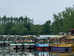 -上海长兴岛郊野公园