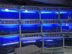 水产区-黄记大闸蟹专卖店·活蟹·醉蟹