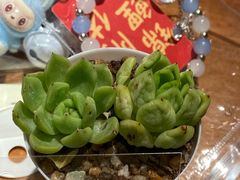 -蝦塘·中国餐馆(城墙南马道巷店)