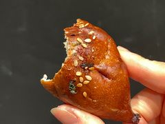 -WHEN PIGS FLY当猪飞
