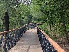 -白水寺森林公园