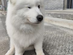 -四明山国家森林公园