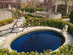 -大连金石滩绿发温泉假日酒店