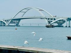 -五缘湾游艇帆船俱乐部