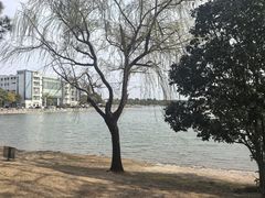 -美兰湖景区
