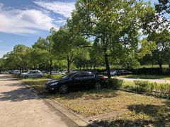 场地-嘉北郊野公园北游客中心-地上停车场