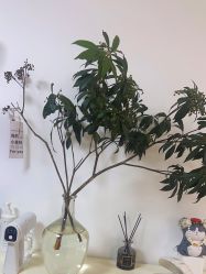 -美肤盾祛痘·问题肌头疗管理中心