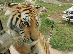 -西安秦岭野生动物园