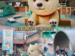 -新城市广场