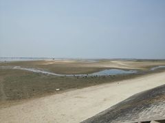 -北海金海湾红树林生态旅游区