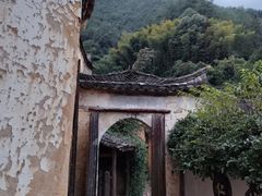 -杨家堂村