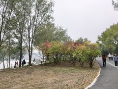 -永定河休闲森林公园