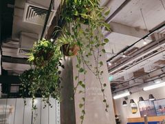 -Wagas沃歌斯(五道口购物中心店)