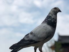 -重元寺