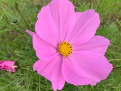 -唐城墙遗址公园