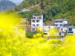 -新安江山水画廊风景区
