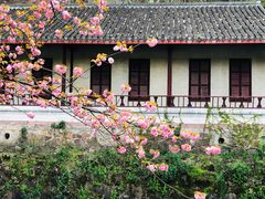 -狼山风景名胜区