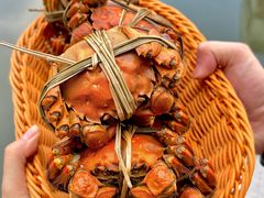 -蟹村草堂·苏式园林人文农家·大闸蟹