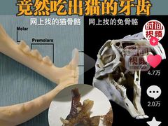 -唐猛猛湘乐汇(银泰城店)