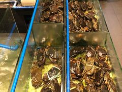 -Isla Sugbu Seafood City