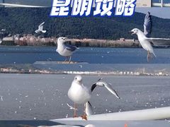 -海埂大坝