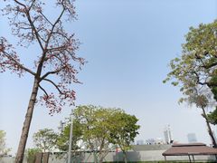 -长洲岛