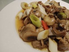 口蘑羊肉-宁夏国强手抓羊肉·清真菜(未央路凤三店)