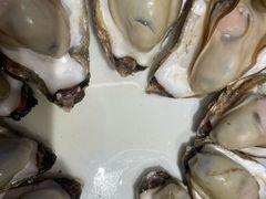 -杨氏青龙虾·羊蝎子(托乐嘉店)