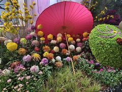 -杭州植物园