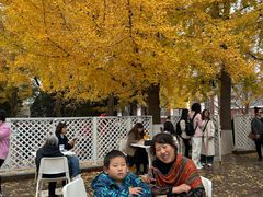 -辽宁大学(崇山校区)