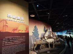 -陕西自然博物馆