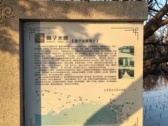 -高子水居