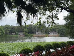 -荔湾湖公园