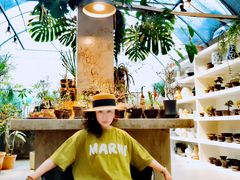 -自由生长植物工作室(深港花卉中心店)