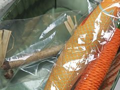 -半岛宠物医院24小时(白果林店)