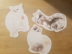 -小时光咖啡馆(开森度假森林店)