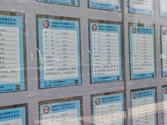 -桃花岛公园