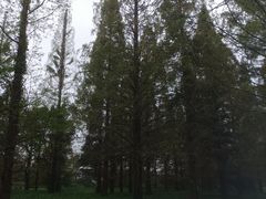 -宝岩生态观光园